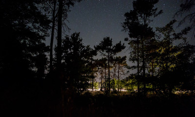 Fototapeta premium Starry sky over the forest and road