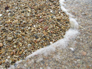 Many pebbles, rocks, and seashells on the shoreline 