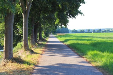 Beauiful road