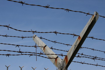 Barbed Wire