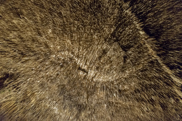 view of the stalactites and stalagmites in the cave