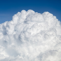 Naklejka premium La tête dans les nuages