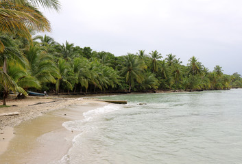 Beautiful beach, lined with lush palm trees on Bocas del Toro island, Panama 