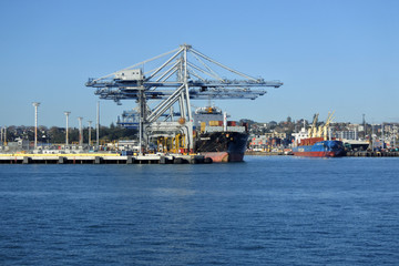 Ports of Auckland New Zealand