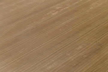 Champ vu du ciel à l'atterrissage