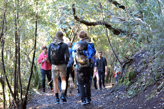 Unrecognizable Tourist trekking in Rangitoto Island New Zealand