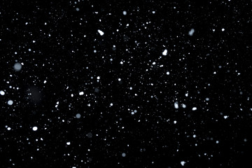 Real snowflakes