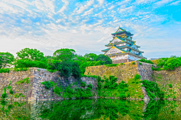 Fototapeta na wymiar 大阪城の風景