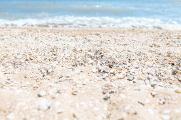 Sand close-up, against the background of a blurred blue sea or ocean, an empty beach, Sunny day, beach with shells
