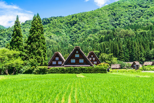 白川郷 の画像 11 481 件の Stock 写真 ベクターおよびビデオ Adobe Stock 白川郷 の画像 11 481 件の Stock 写真 ベクターおよびビデオ Adobe Stock