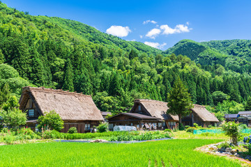 Fototapeta na wymiar 日本の原風景　白川郷