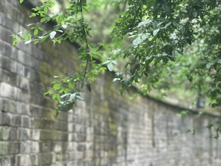中国　四川省　成都　武侯祠