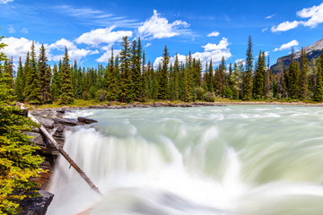 At the Top of Athabasca Falls in Jasper National Park