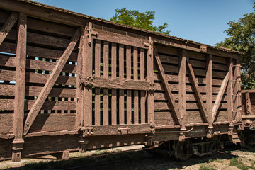 Fototapeta premium Cattle Car