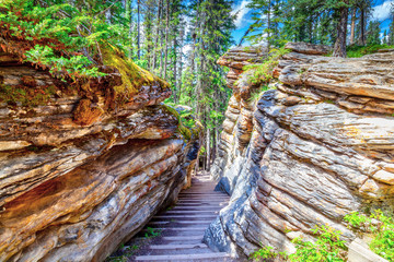 Naklejka premium Canyon Staircase at Athabasca Falls in Jasper National Park