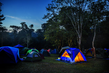 Camping in Green Park 