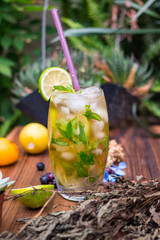 Sweet fruity cocktail drink without sugar with honey, ginger, lemon (lime) and mint. Herbal Chinese...