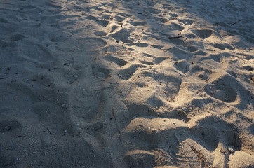 Traces of the beach2