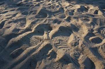 Traces of the beach