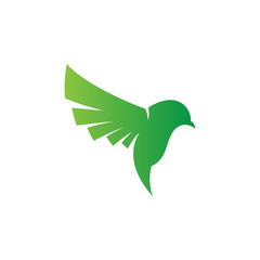 Green bird logo vector design template