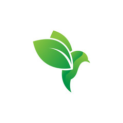 Nature bird logo with bird and leaf design vector