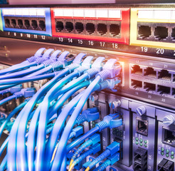 row of network cables are connected to a switch