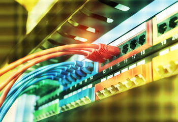 row of network cables are connected to a switch