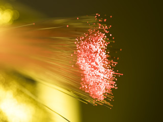optical fibres dinamic flying from deep on technology background