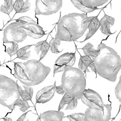 Vintage seamless watercolor pattern - hand drawing threads of lemon, lime  with leaves. Trendy pattern. Painting
Citrus fruits. The pattern is black and white, monochrome. Branch with citrus fruit.