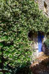 On the streets of a medieval village Gorbio. French Riviera. Cote d'Azur.