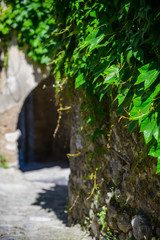 On the streets of a medieval village Gorbio. French Riviera. Cote d'Azur.