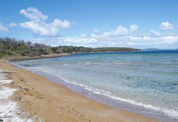 Beach, Tasmania, Australia