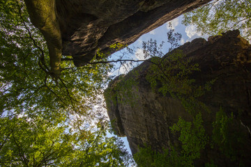 nature view of Saxon Switzerland National Park, Germany