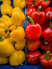 It's a photo of red and yellow bell peppers in close up in a blue basket or crate in a supermarket. - 213440077