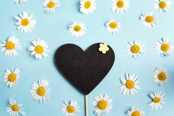 Obraz premium Blank blackboard-heart with chamomiles on blue background.