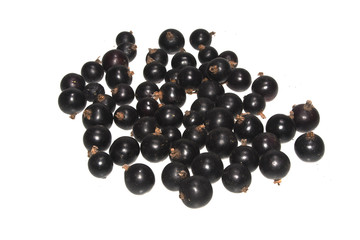 black currant isolated on white background