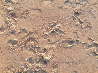 Sand Background