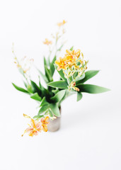 京都　祇園祭　檜扇