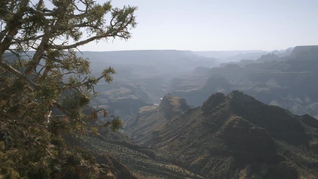 Vegetation on cliff in Grand Canyon, Arizona - panning right with refocus
