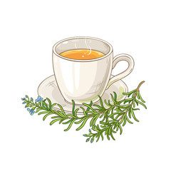 rosemary tea illustration