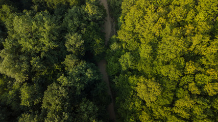 Russian Forest And Mountains Under Blue Sky By Aerial Drone. Stunning Aerial Drone Stock Footage of South russian Forest And Mountains Under Blue Sky