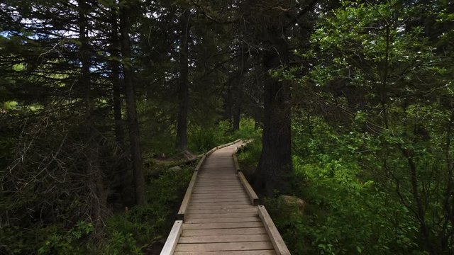 Hiking Trail In Jackson Hole, Wyoming