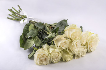 bouquet of nine white roses on a white background