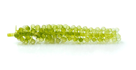 Oval sea grapes seaweed, Close up Green Caviar isolated on white background