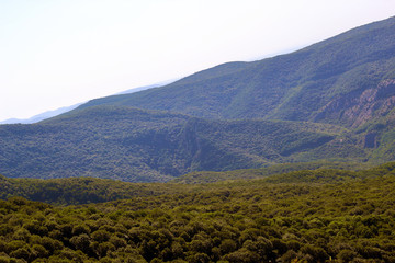landscape of mountain slopes and trees