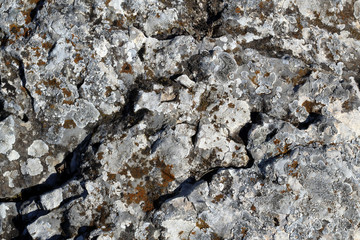 rock stone texture
