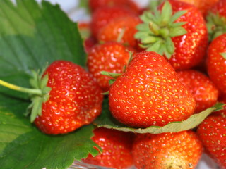 Strawberry ripe red delicious appetizing berry with close-up leaves
