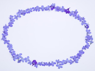 Frame oval and small lilac flowers on a white background