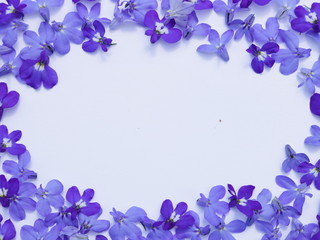 Fototapeta na wymiar Frame and small lilac flowers on a white background
