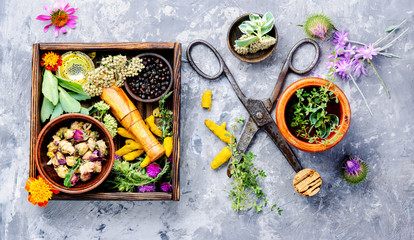 Herbs medicine flowers